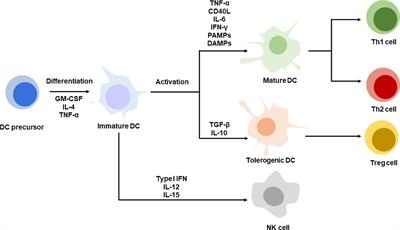 Recent Advances in Nanotechnology for Dendritic Cell-Based Immunotherapy